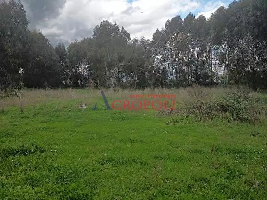 Immagine 1 di Terreno agricolo in affitto  a Anguillara Sabazia