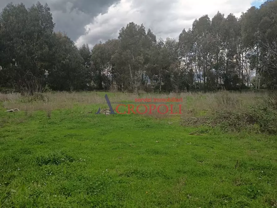 Immagine 4 di Terreno agricolo in affitto  a Anguillara Sabazia