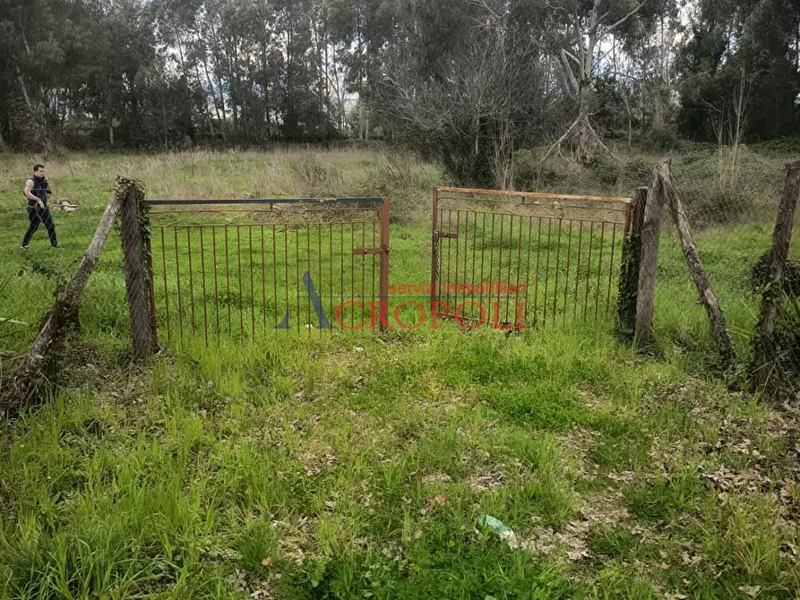 Immagine 6 di Terreno agricolo in affitto  a Anguillara Sabazia