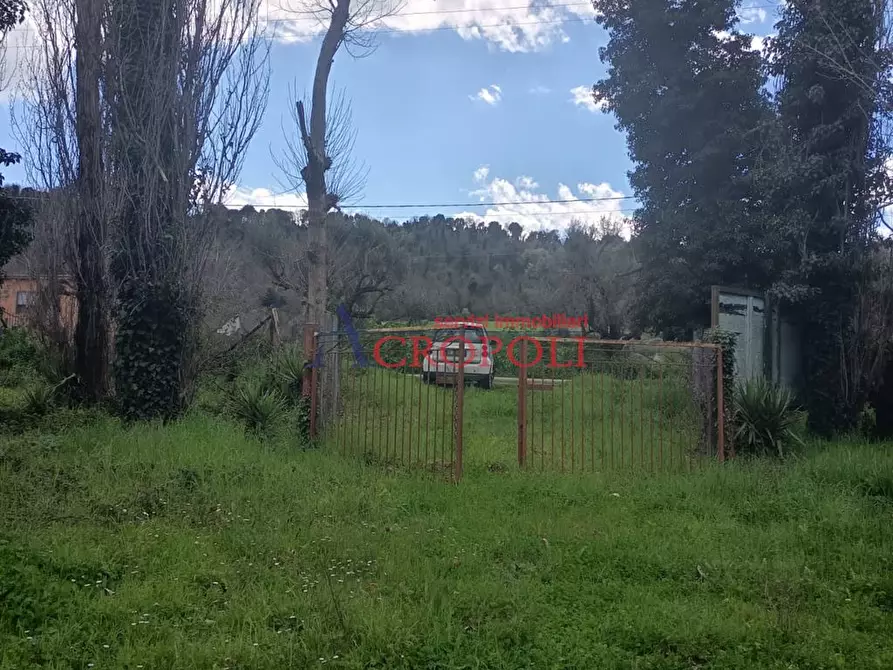 Immagine 8 di Terreno agricolo in affitto  a Anguillara Sabazia