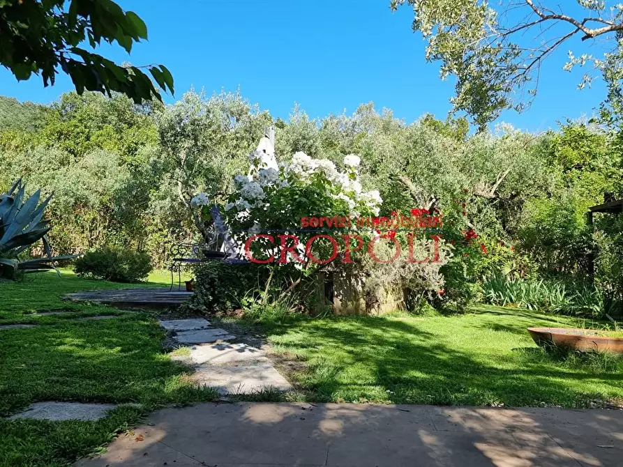 Immagine 9 di Villa in vendita  a Trevignano Romano