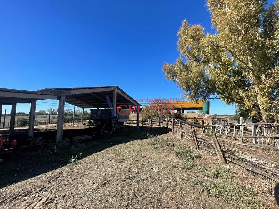 Immagine 7 di Rustico / casale in vendita  in via casale di sant'angelo a Fiumicino