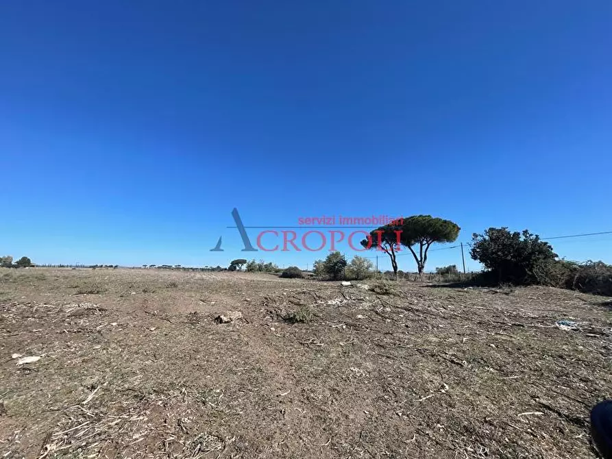 Immagine 2 di Rustico / casale in vendita  in via casale di sant'angelo a Fiumicino