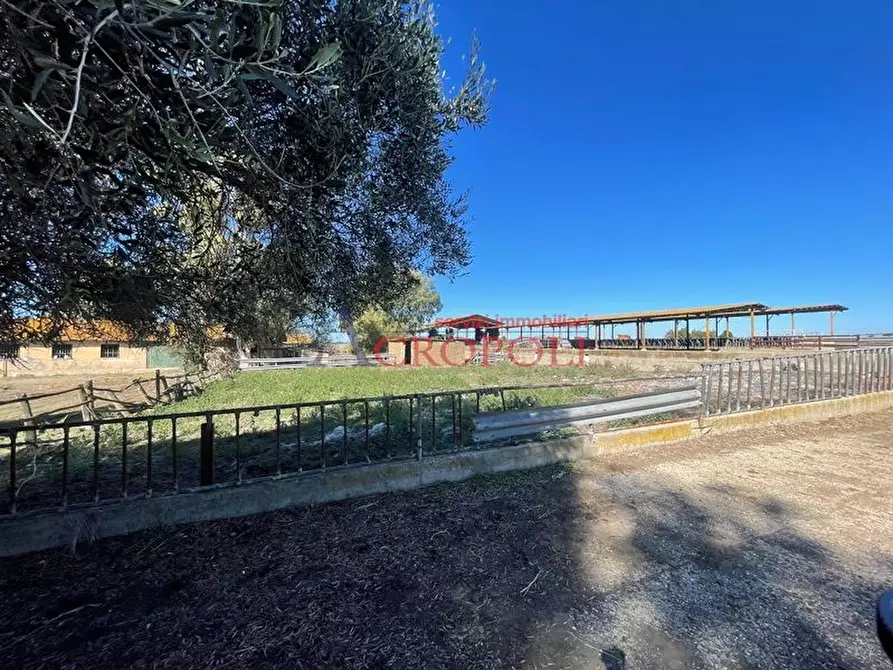 Immagine 6 di Rustico / casale in vendita  in via casale di sant'angelo a Fiumicino