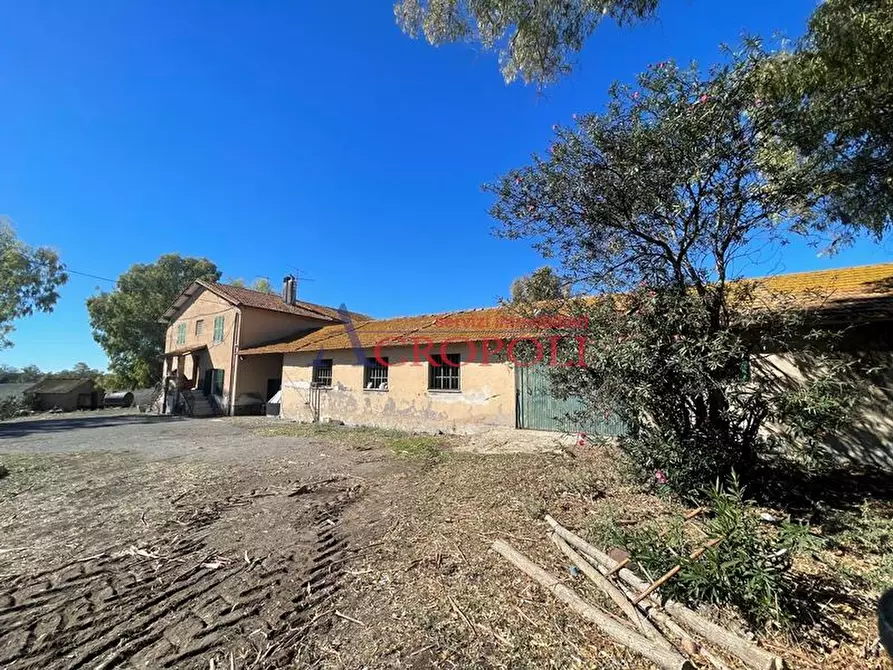 Immagine 4 di Rustico / casale in vendita  in via casale di sant'angelo a Fiumicino