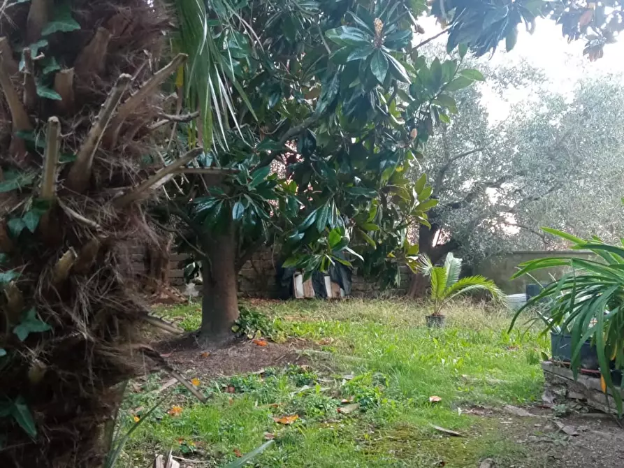 Immagine 7 di Villetta a schiera in vendita  a Manziana