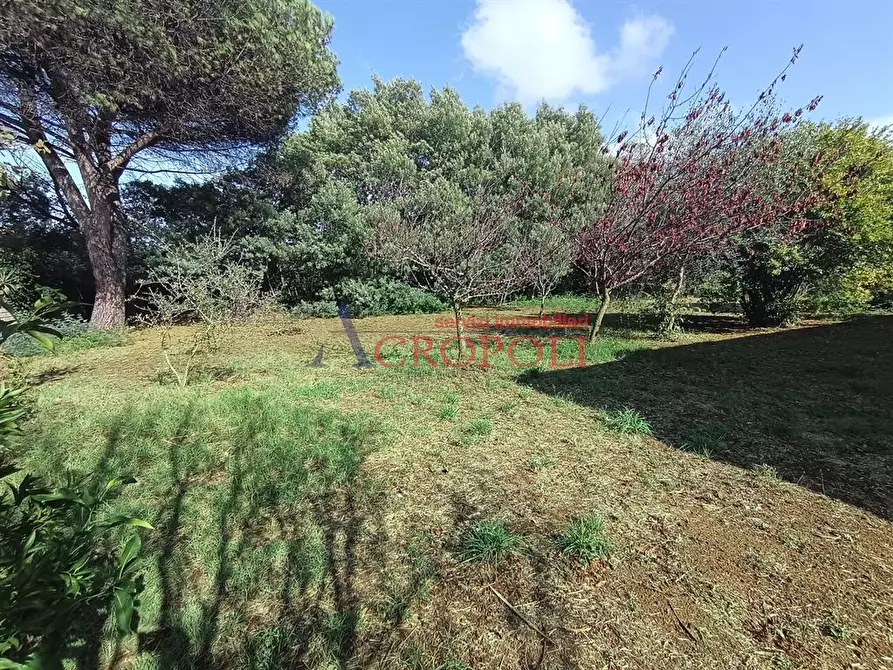 Immagine 9 di Villa in vendita  a Roma