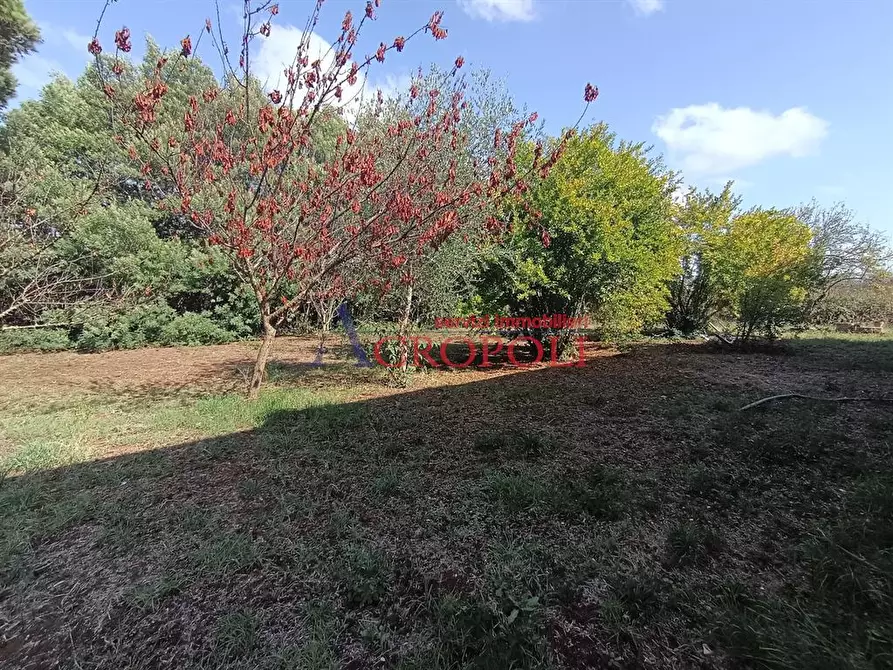 Immagine 8 di Villa in vendita  a Roma