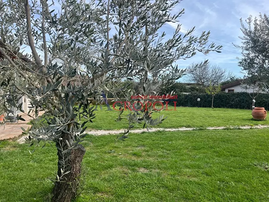 Immagine 8 di Villa in vendita  in Via Settevene Est a Trevignano Romano