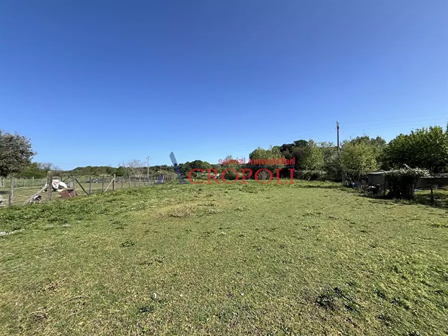 Immagine 1 di Terreno agricolo in vendita  in Via della Mola Vecchia a Anguillara Sabazia