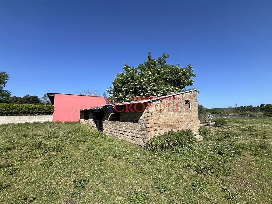 Immagine 6 di Terreno agricolo in vendita  in Via della Mola Vecchia a Anguillara Sabazia