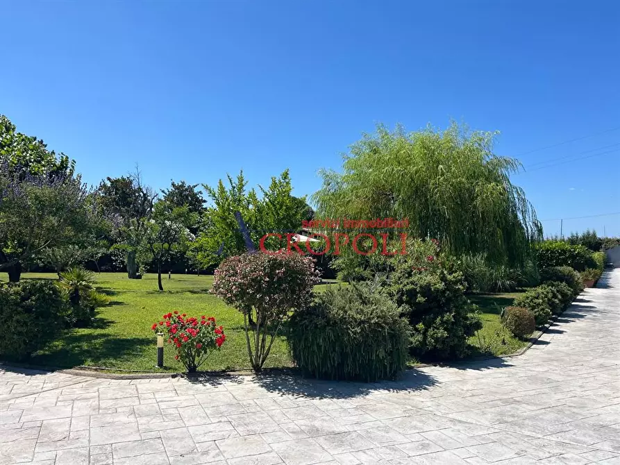 Immagine 9 di Villa in vendita  in Via monte Moscano a Trevignano Romano
