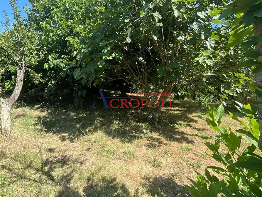 Immagine 8 di Villa in vendita  in Via Gran Sasso a Trevignano Romano