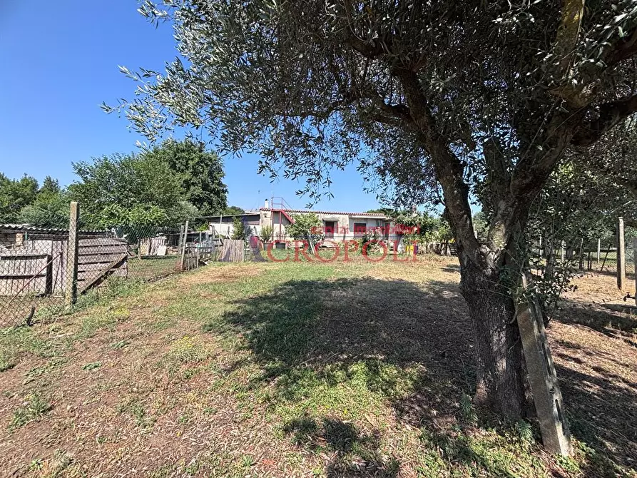 Immagine 9 di Villa in vendita  in via Villarbasse a Roma