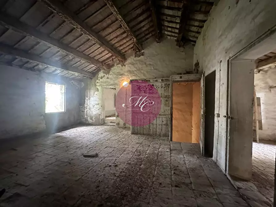 Immagine 3 di Rustico / casale in vendita  in Via Argine Destro Canale Molino a Ravenna