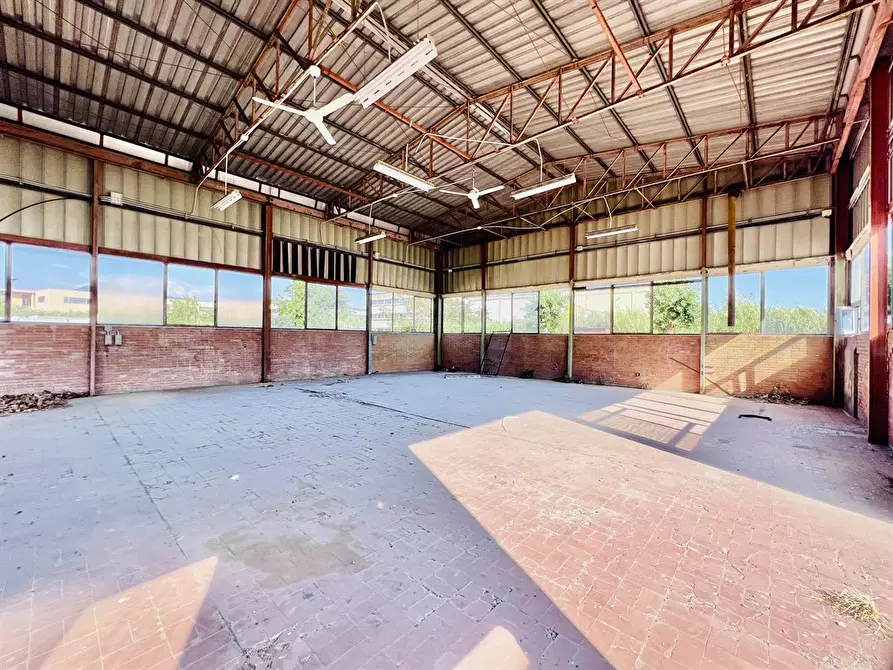 Immagine 3 di Capannone industriale in vendita  a Ariccia