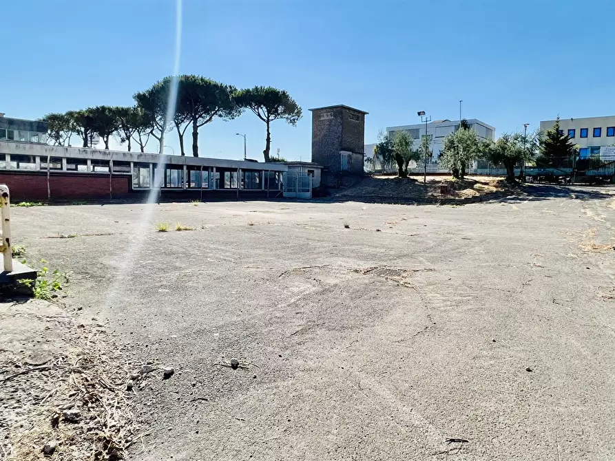Immagine 6 di Capannone industriale in vendita  a Ariccia