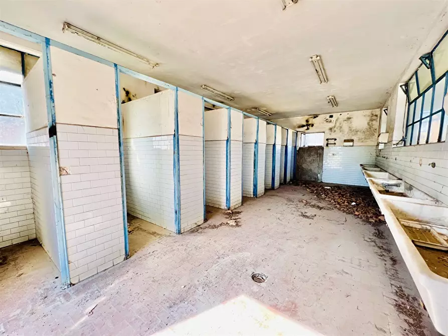 Immagine 2 di Capannone industriale in vendita  a Ariccia