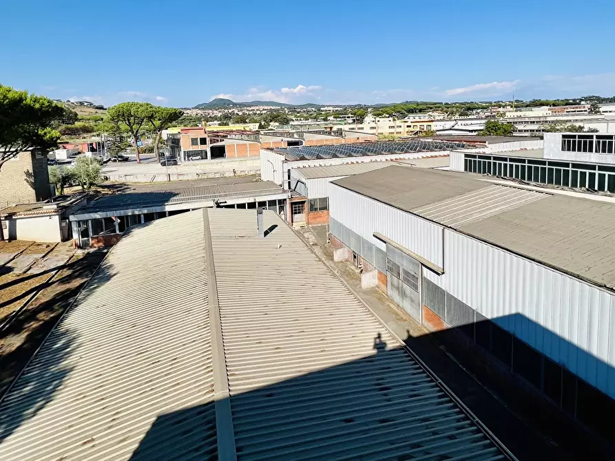Immagine 9 di Capannone industriale in vendita  a Ariccia