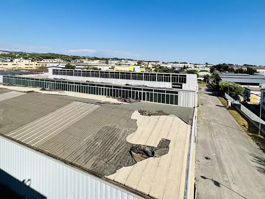 Immagine 8 di Capannone industriale in vendita  a Ariccia