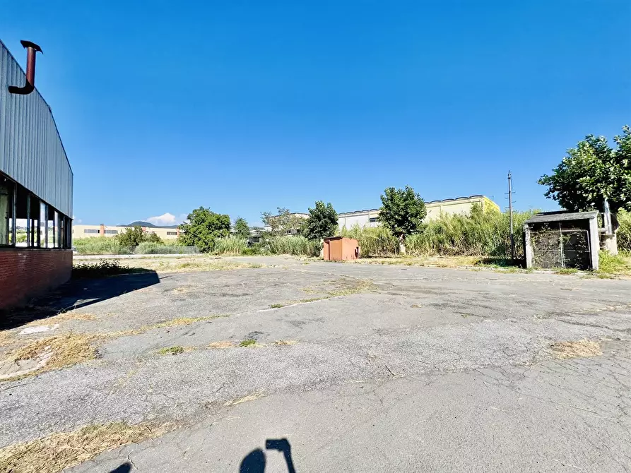 Immagine 4 di Capannone industriale in vendita  a Ariccia