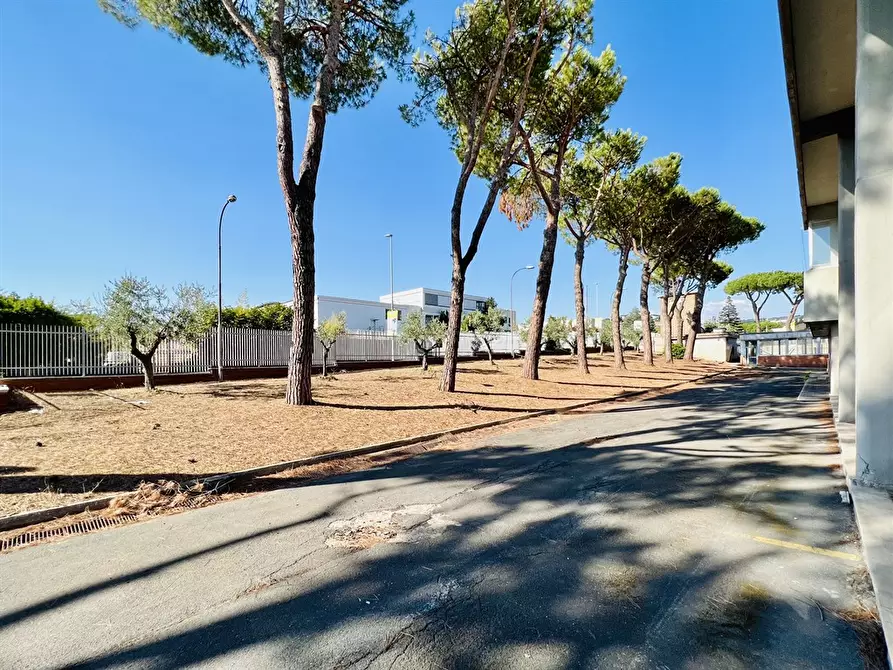 Immagine 7 di Capannone industriale in vendita  a Ariccia