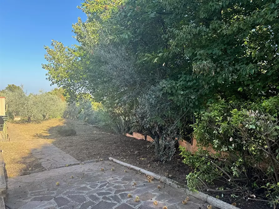 Immagine 7 di Casa bifamiliare in vendita  in Via selve di Mondragone 15 a Monte Porzio Catone