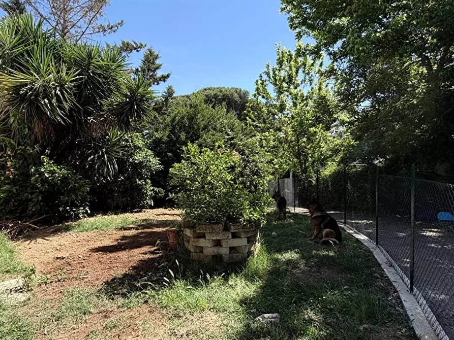 Immagine 8 di Appartamento in vendita  in Via Monte di Casa 65 a Roma
