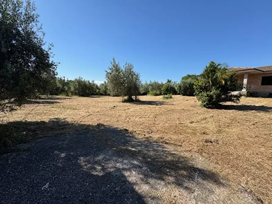 Immagine 9 di Casa indipendente in vendita  in via caio maio 2 a Velletri