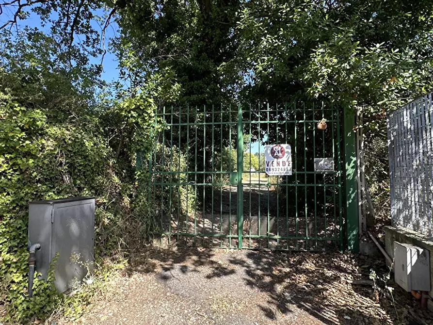 Immagine 2 di Terreno agricolo in vendita  in via del melograno 1 a Ariccia