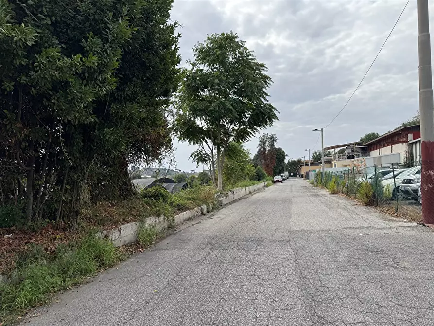 Immagine 4 di Locale commerciale in vendita  in VIA PERLATURA 49 a Ariccia