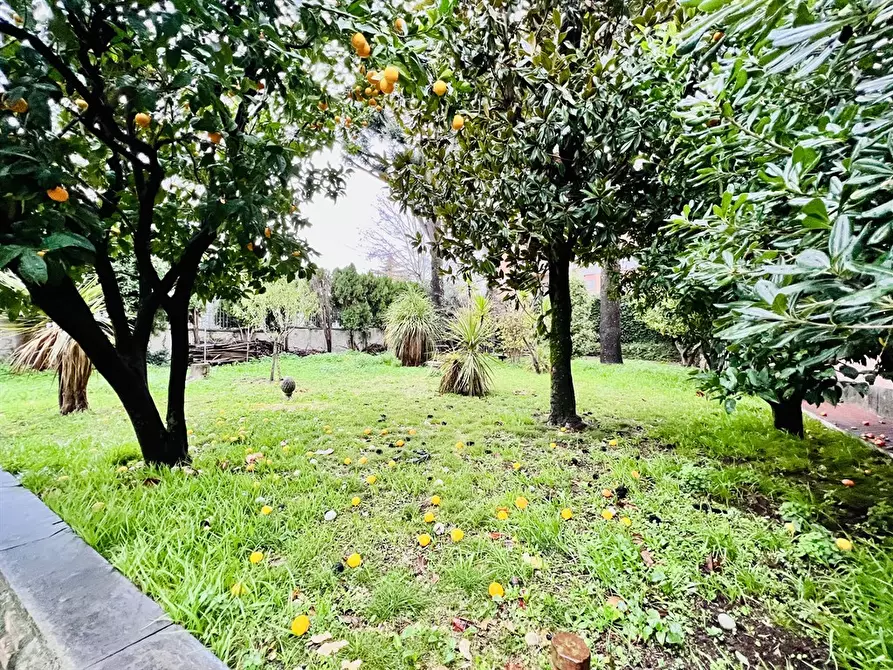 Immagine 3 di Villa in affitto  in Via Vito Volterra 8 a Ariccia