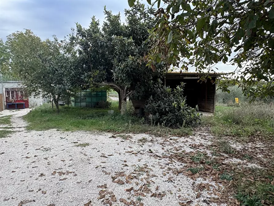 Immagine 3 di Terreno agricolo in vendita  in Via Tenutella 9 a Albano Laziale