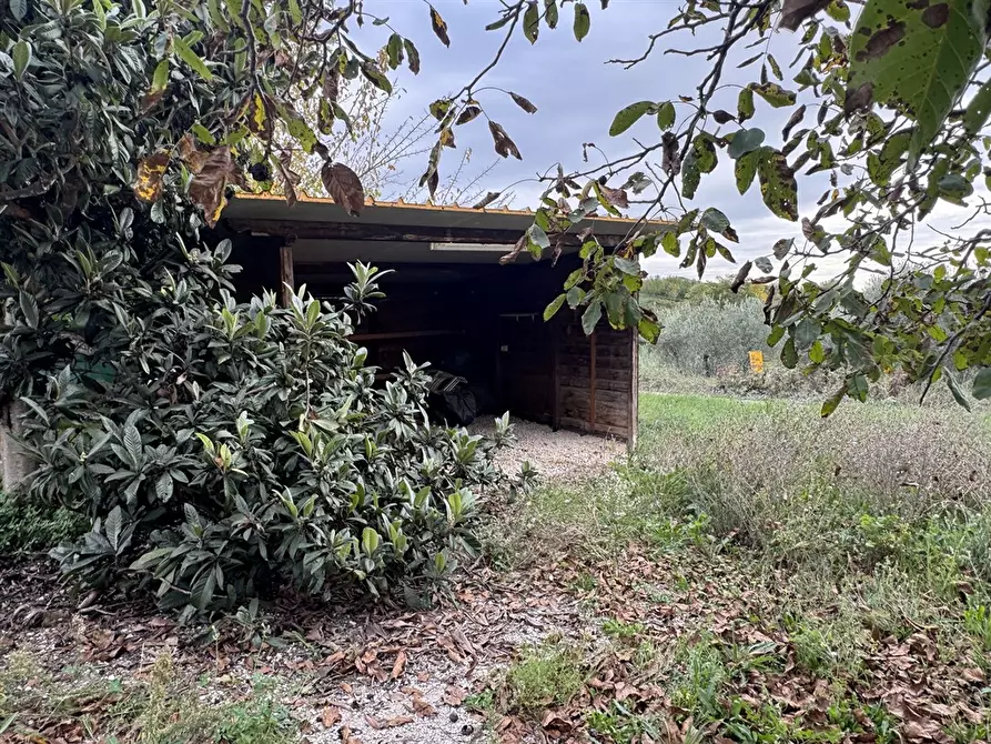 Immagine 2 di Terreno agricolo in vendita  in Via Tenutella 9 a Albano Laziale