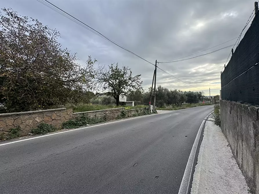 Immagine 7 di Terreno agricolo in vendita  in Via Tenutella 9 a Albano Laziale