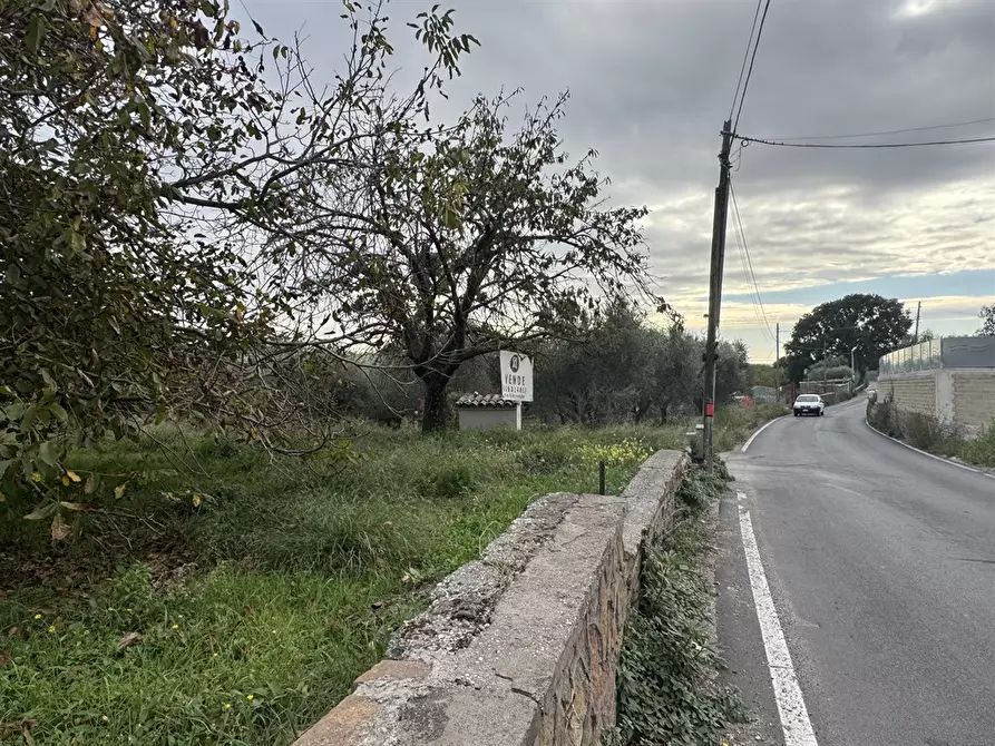 Immagine 5 di Terreno agricolo in vendita  in Via Tenutella 9 a Albano Laziale
