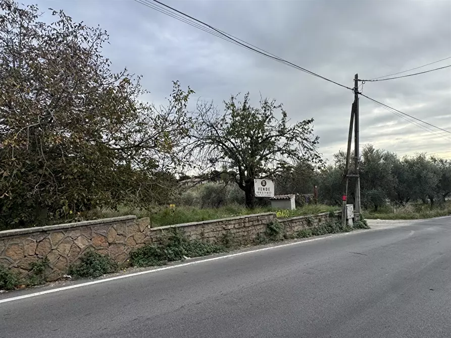 Immagine 6 di Terreno agricolo in vendita  in Via Tenutella 9 a Albano Laziale