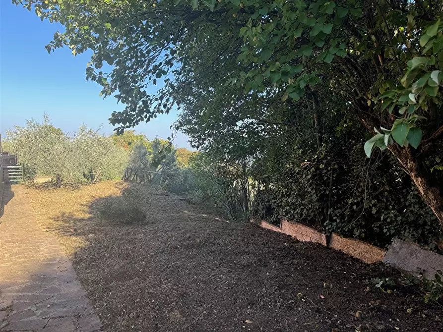 Immagine 4 di Appartamento in vendita  in via selve di mondragone 15 a Monte Porzio Catone