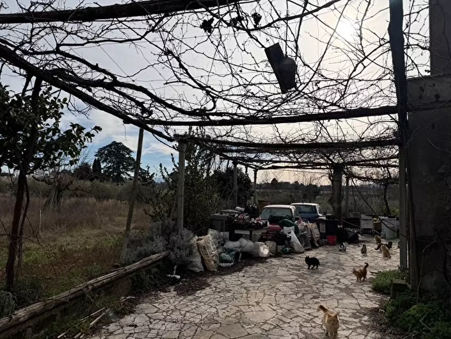 Immagine 6 di Villa in vendita  in via colle carnarolo 5 a Zagarolo