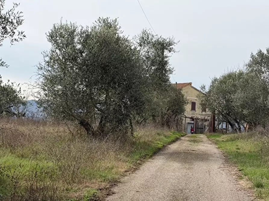 Immagine 8 di Villa in vendita  in via colle carnarolo 5 a Zagarolo
