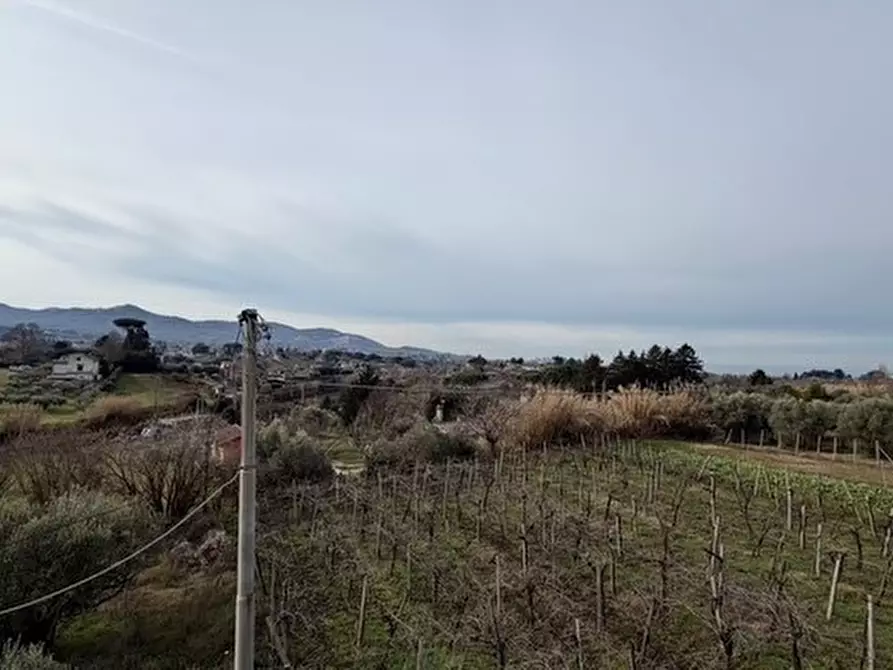 Immagine 1 di Villa in vendita  in via colle carnarolo 5 a Zagarolo