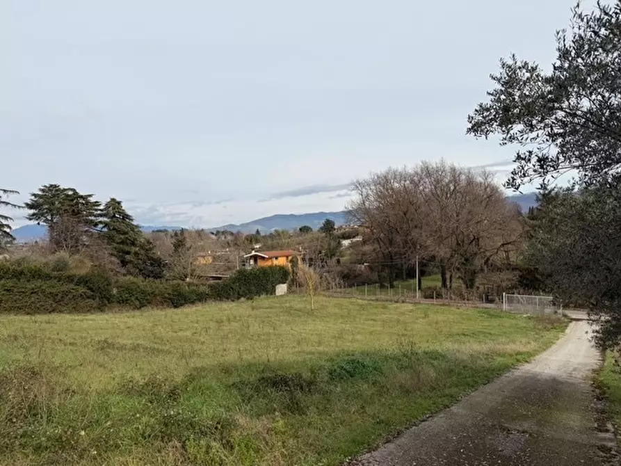 Immagine 7 di Villa in vendita  in via colle carnarolo 5 a Zagarolo