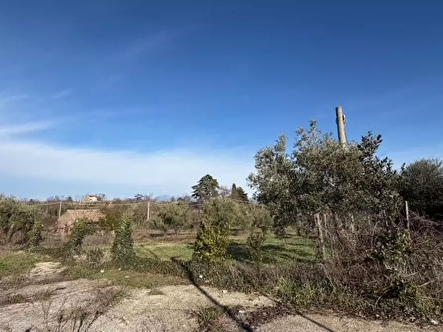 Immagine 6 di Casa indipendente in vendita  in via prenestina nuova 17 a San Cesareo