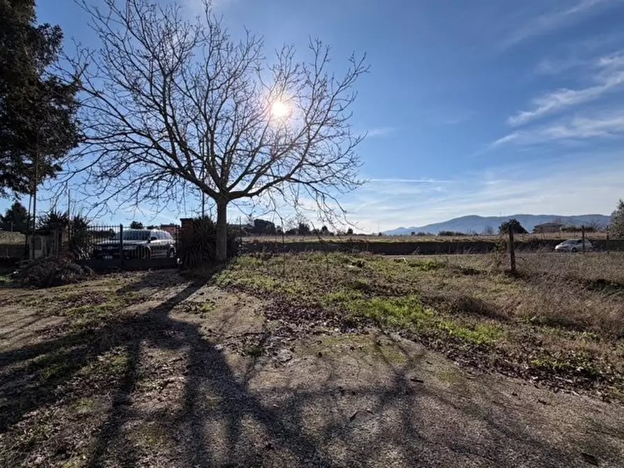 Immagine 8 di Casa indipendente in vendita  in via prenestina nuova 17 a San Cesareo
