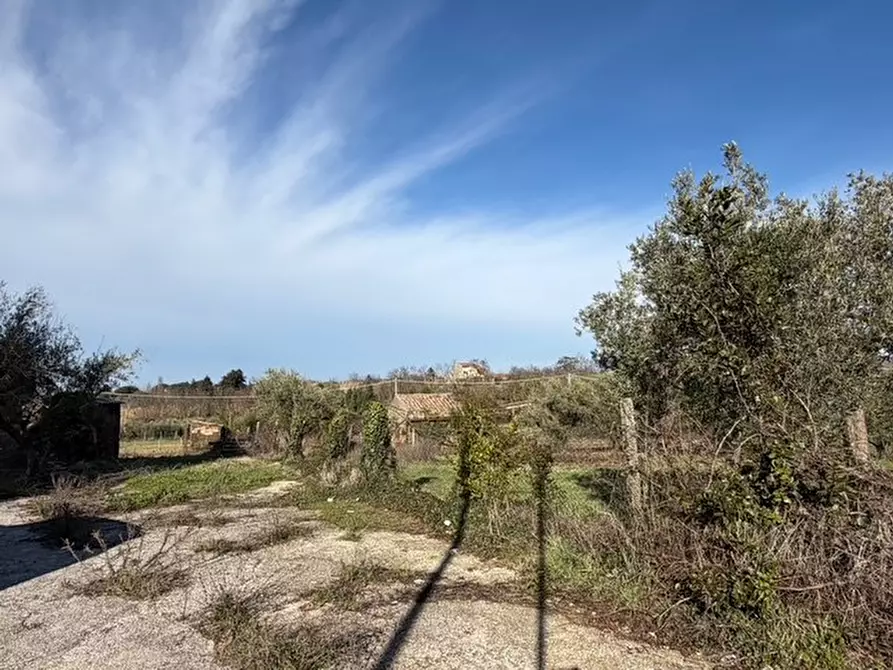 Immagine 9 di Casa indipendente in vendita  in via prenestina nuova 17 a San Cesareo