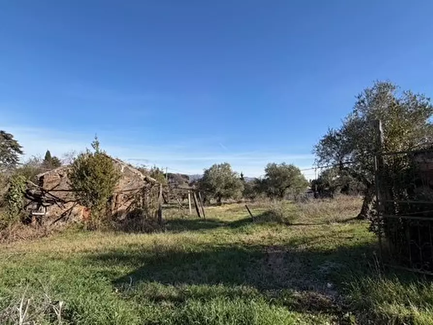 Immagine 4 di Casa indipendente in vendita  in via prenestina nuova 17 a San Cesareo