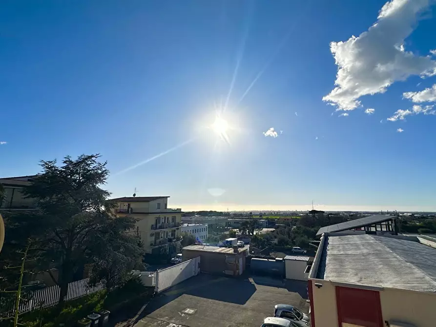 Immagine 9 di Appartamento in vendita  in Via dei Tulipani 40 a Albano Laziale