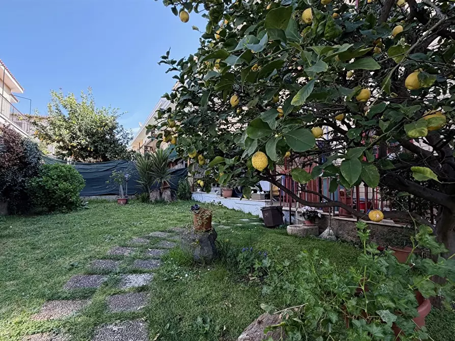 Immagine 2 di Appartamento in vendita  in via nettuno 20 a Albano Laziale