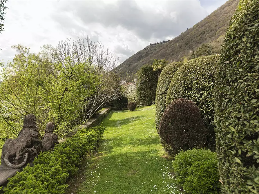 Immagine 8 di Appartamento in affitto  in Via T. Grossi a Como