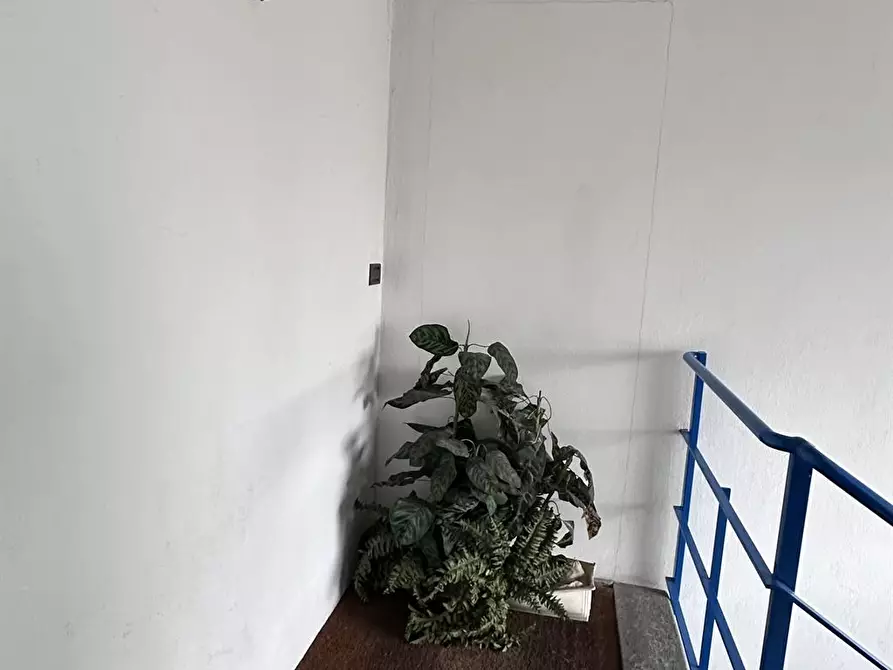 Immagine 3 di Capannone industriale in affitto  in Via Orio al Serio 5 a Grassobbio